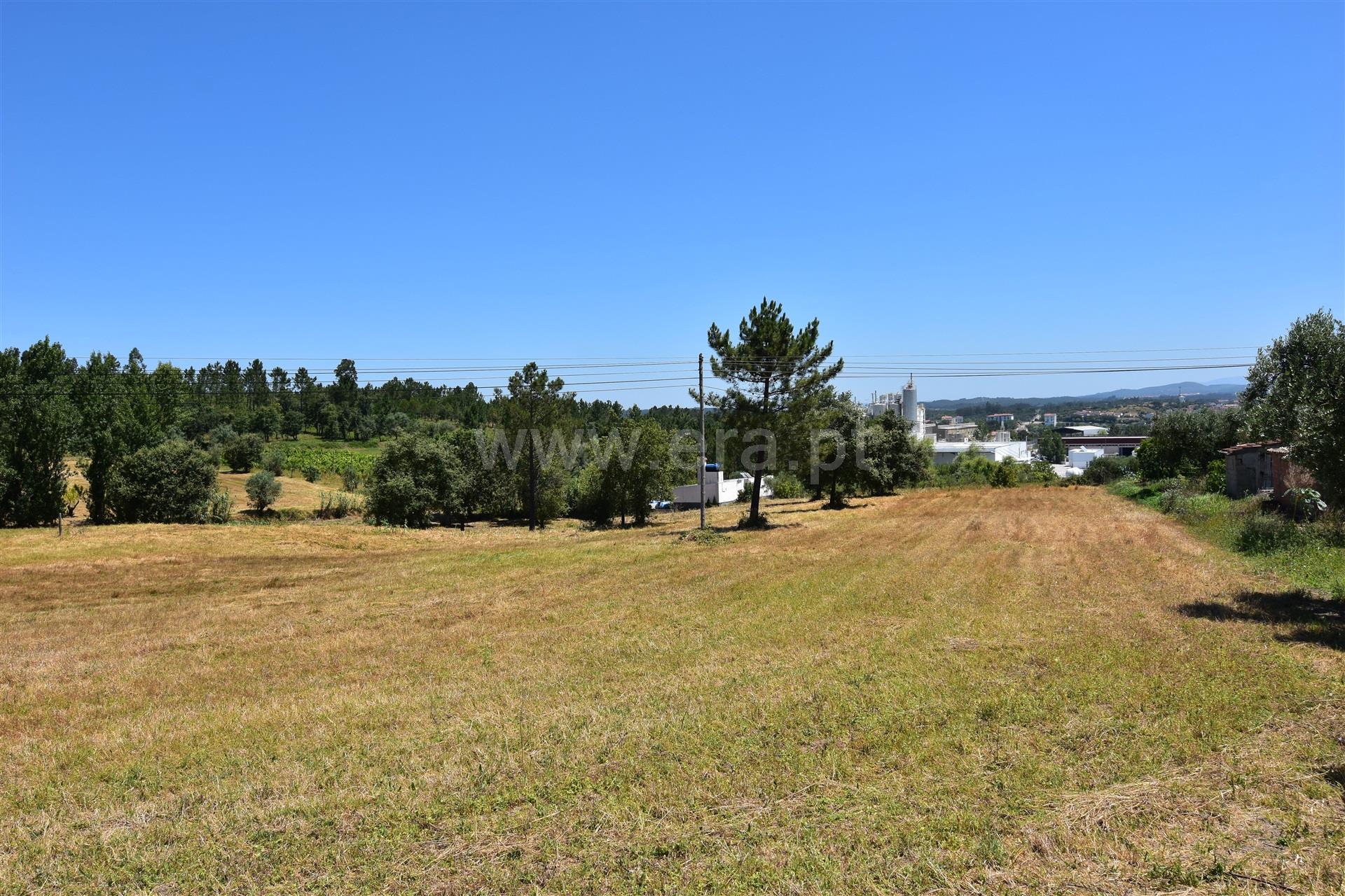 Land for sale in Soure, Portugal — €55,000