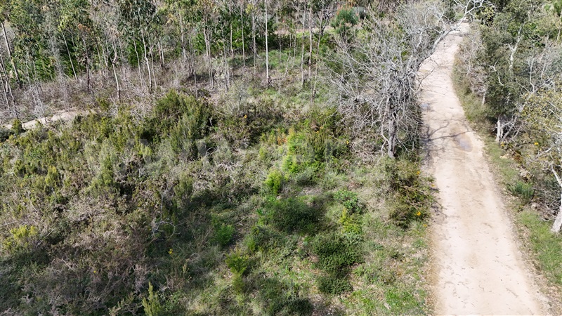 Terreno  Soure, Vinha da Rainha - 1390620 - 6