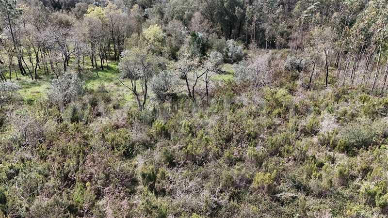 Terreno  Soure, Vinha da Rainha - 1390620 - 8