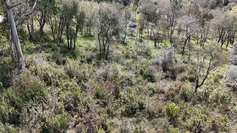 Terreno  Soure, Vinha da Rainha - 1390620 - 11