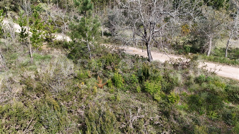 Terreno  Soure, Vinha da Rainha - 1390620 - 13