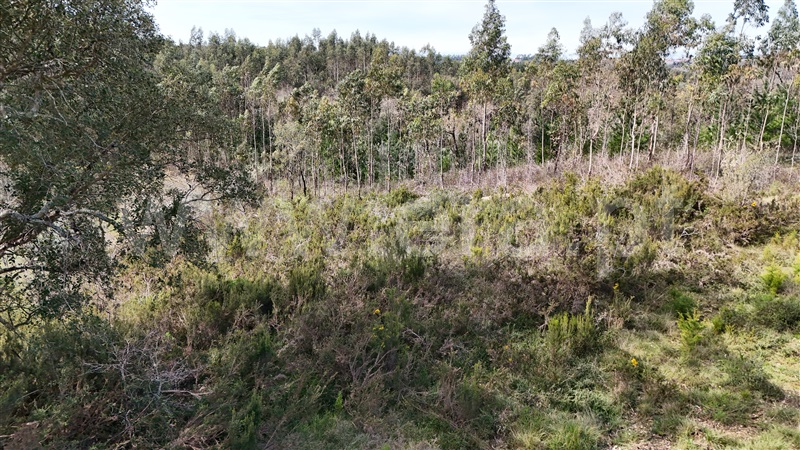 Terreno  Soure, Vinha da Rainha - 1390620 - 20