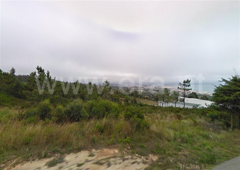 Terreno T1 / Figueira da Foz, Buarcos e São Julião