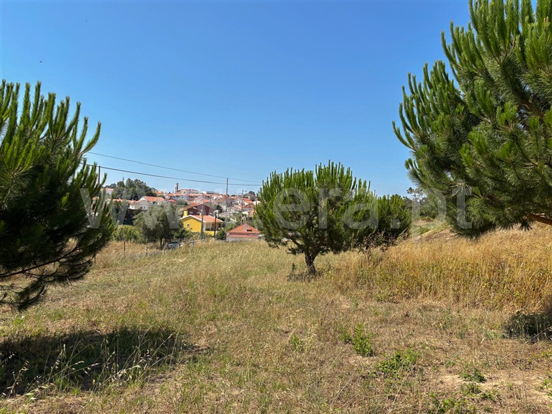 Terreno T3 com Aprovado Torres Vedras, Campelos e Outeiro da Cabeça - 1258717 - 6