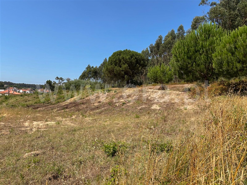Terreno T3 com Aprovado Torres Vedras, Campelos e Outeiro da Cabeça - 1258717 - 7