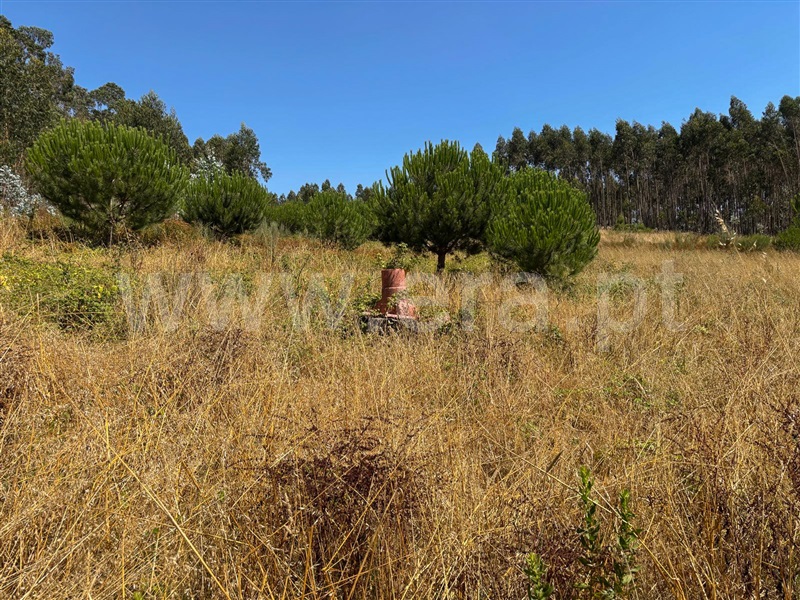Terreno T3 com Aprovado Torres Vedras, Campelos e Outeiro da Cabeça - 1258717 - 12