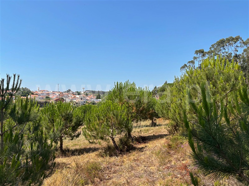 Terreno T3 com Aprovado Torres Vedras, Campelos e Outeiro da Cabeça - 1258717 - 13
