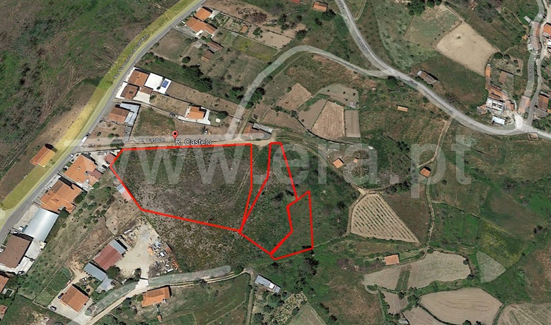 Terreno / Tábua, Covas e Vila Nova de Oliveirinha