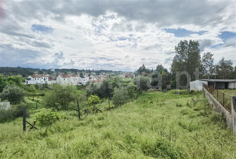 Terreno / Tábua, Tábua