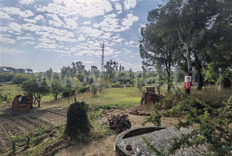 Terreno / Tábua, Tábua