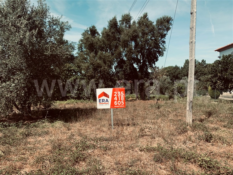 Terreno  Tábua - 1192454 - 3