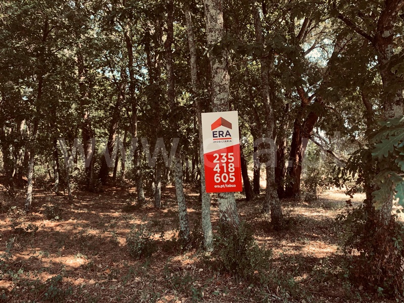 Terreno  Tábua - 1192454 - 5
