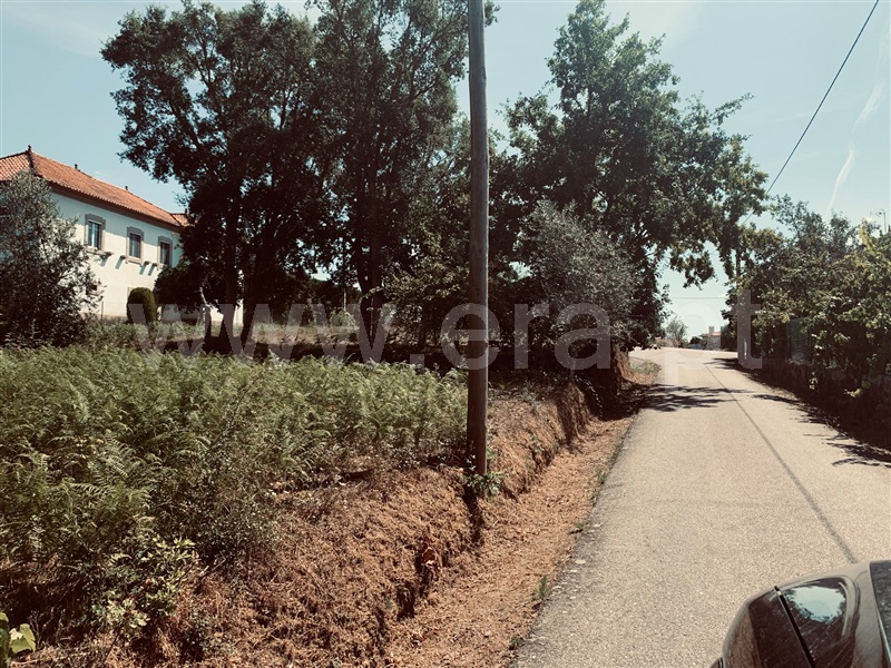 Terreno  Tábua - 1192454 - 8
