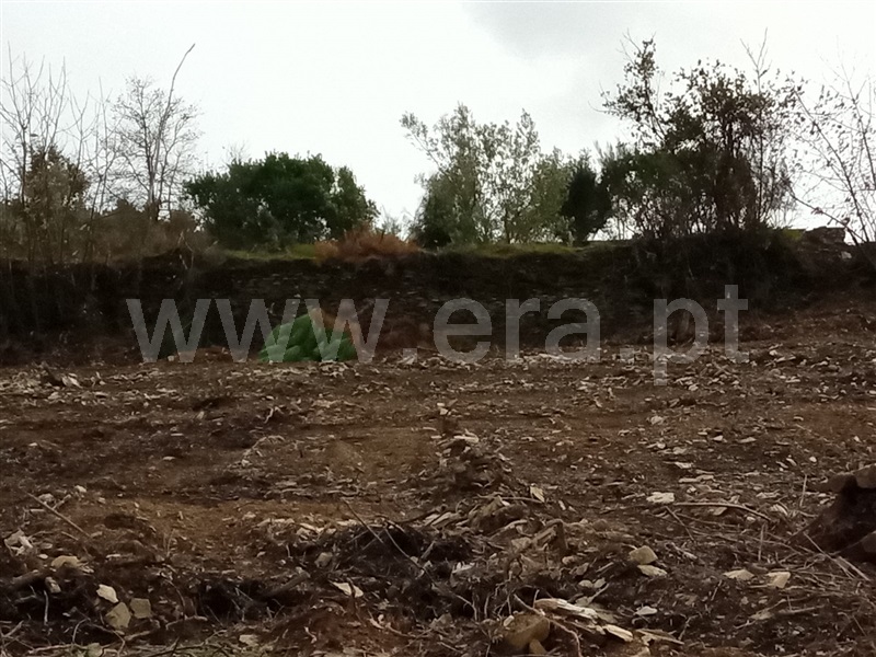 Terreno  Tabuaço, Longa - 1236294 - 3