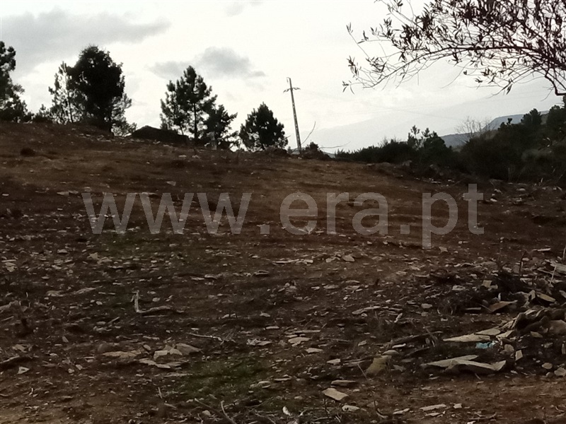Terreno  Tabuaço, Longa - 1236294 - 4