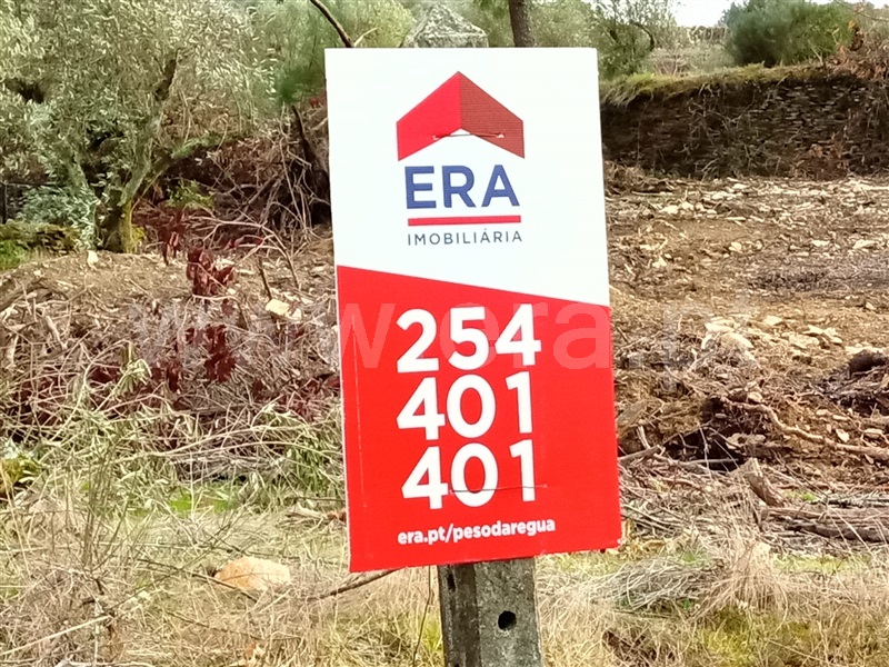 Terreno  Tabuaço, Longa - 1236294 - 7