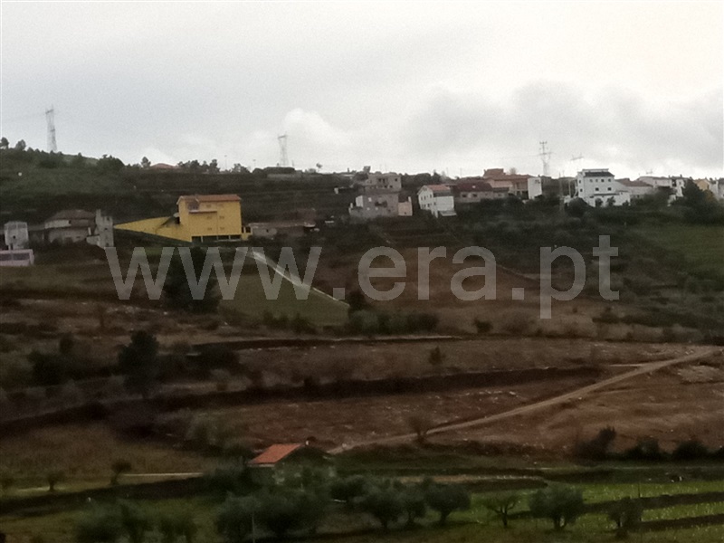 Terreno  Tabuaço, Longa - 1236294 - 8