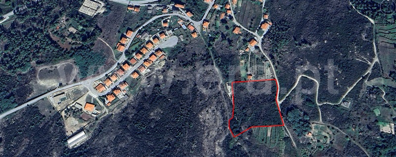 Terreno  Tabuaço, Barcos e Santa Leocádia - 1446450 - 1