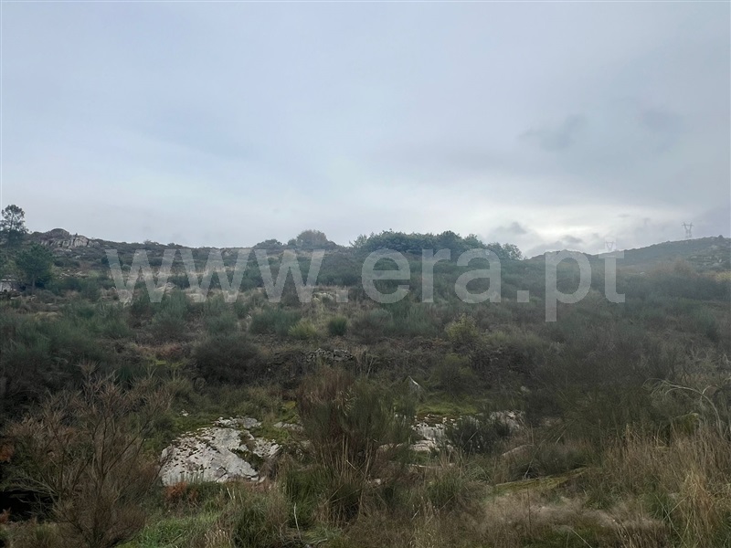 Terreno  Tabuaço, Barcos e Santa Leocádia - 1446450 - 2