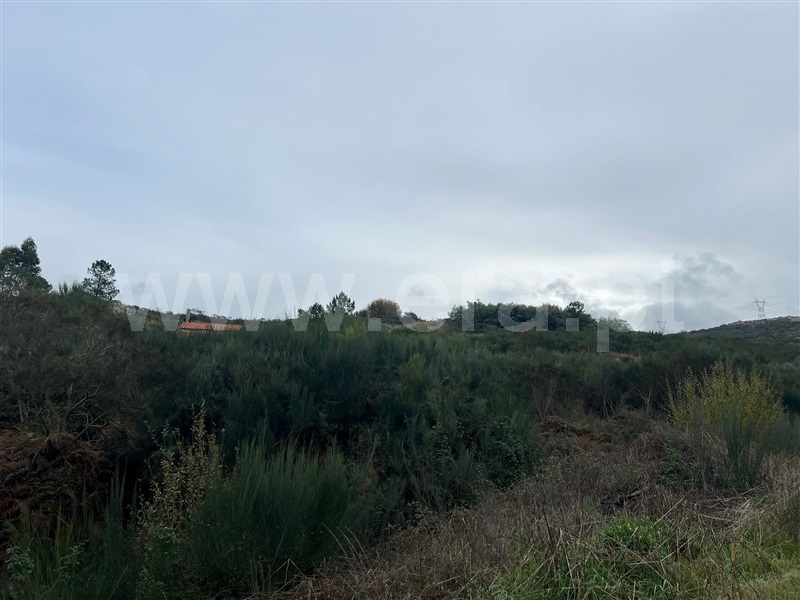 Terreno  Tabuaço, Barcos e Santa Leocádia - 1446450 - 3