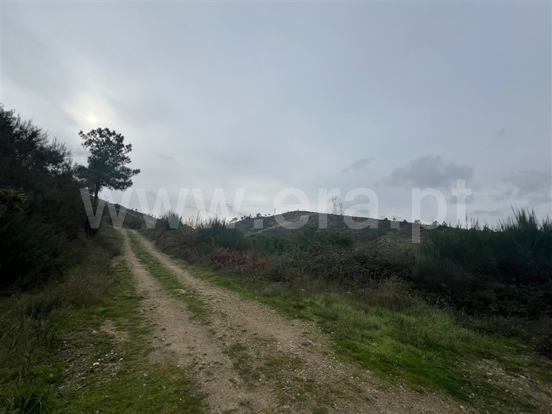 Terreno  Tabuaço, Barcos e Santa Leocádia - 1446450 - 5