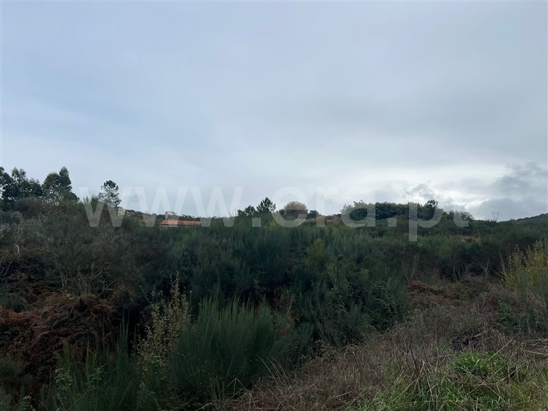 Terreno  Tabuaço, Barcos e Santa Leocádia - 1446450 - 6