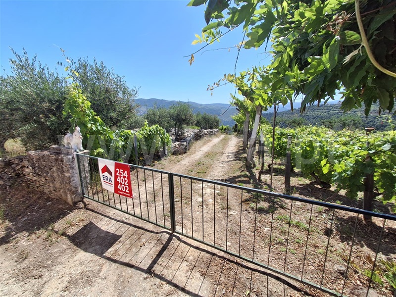 Terreno / Tabuaço, Tabuaço