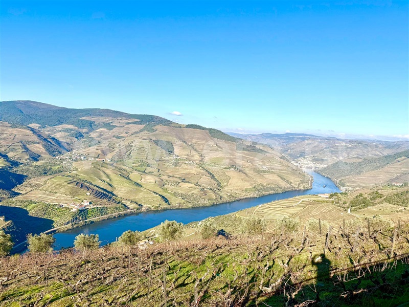 Terreno / Tabuaço, Valença do Douro