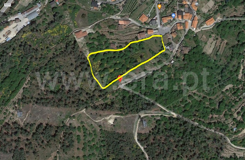 Terreno / Tarouca, Mondim da Beira