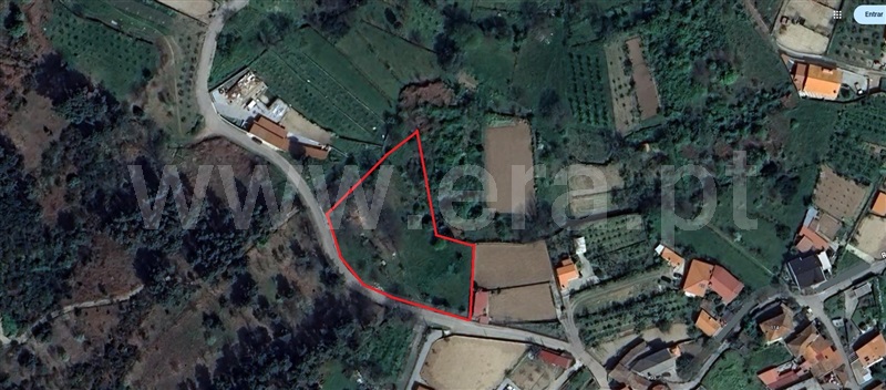 Terreno / Tarouca, Tarouca - Viseu