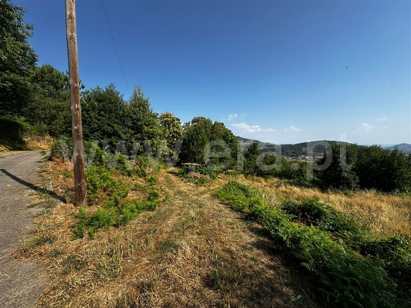 Terreno  Tarouca, Tarouca - Viseu - 1467106 - 4