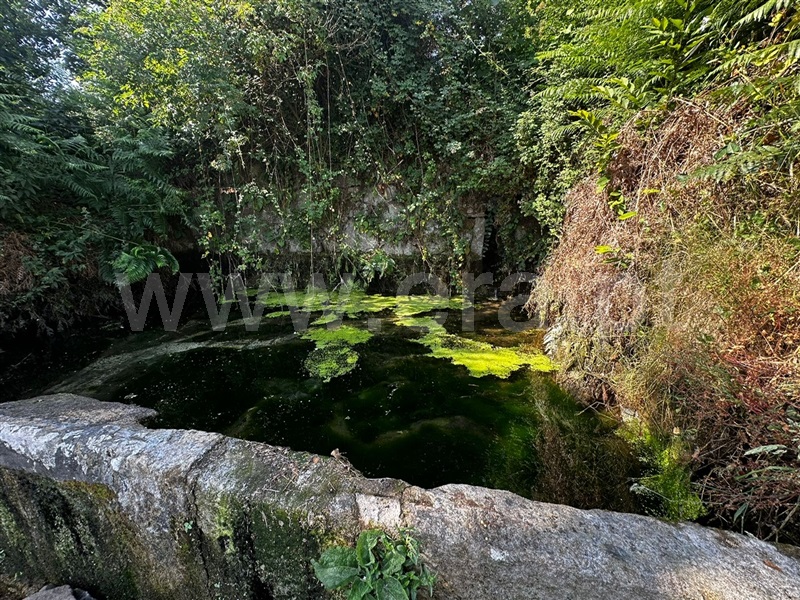 Terreno  Tarouca, Tarouca - Viseu - 1467106 - 5