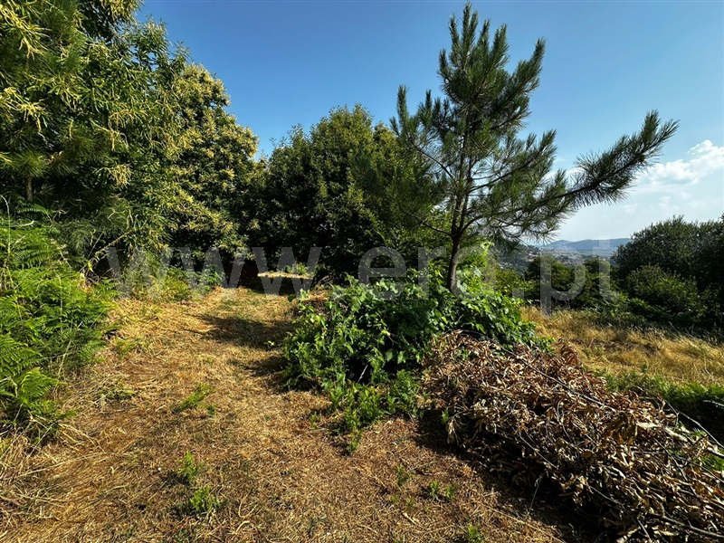 Terreno  Tarouca, Tarouca - Viseu - 1467106 - 6