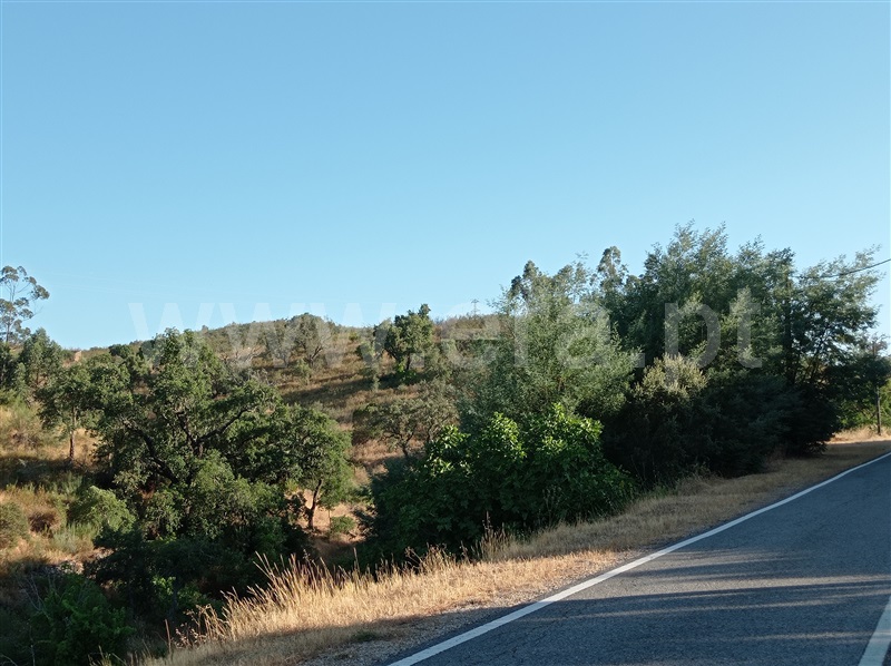 Terreno / Tavira, Cachopo
