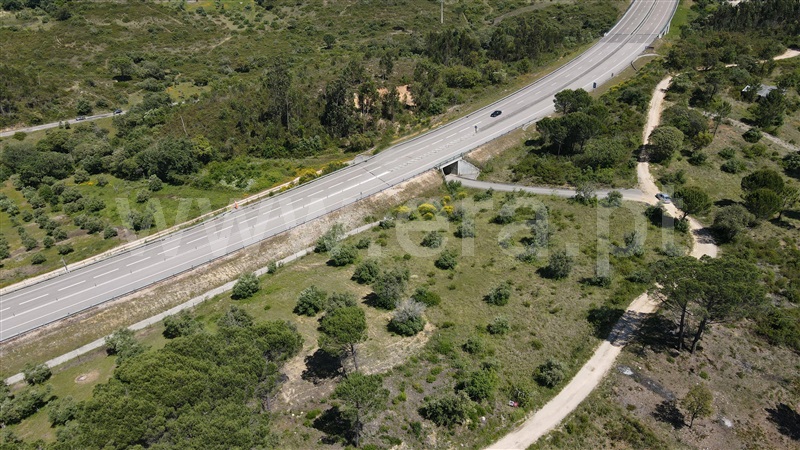 Terreno / Tomar, Carregueiros