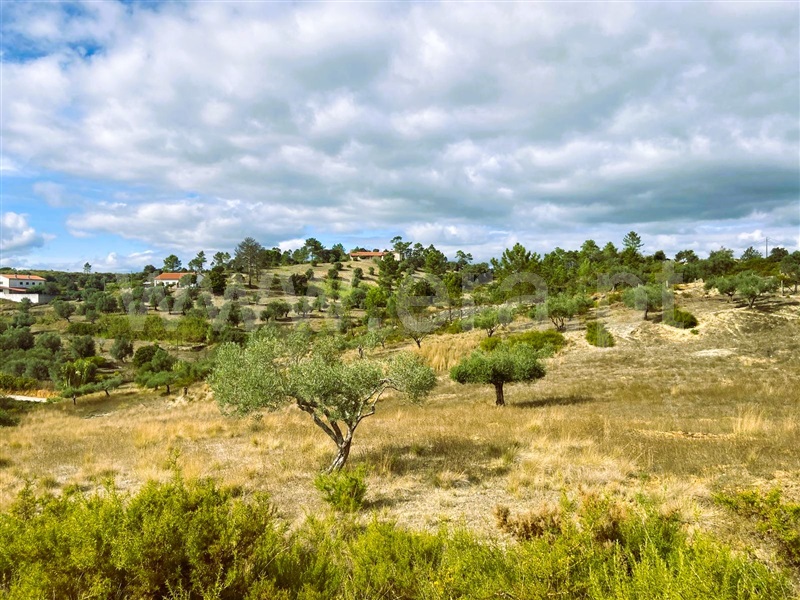 Terreno / Tomar, Carregueiros