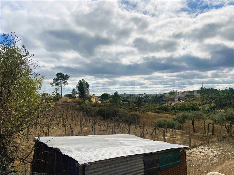 Terreno  Tomar, Carregueiros - 1436224 - 3