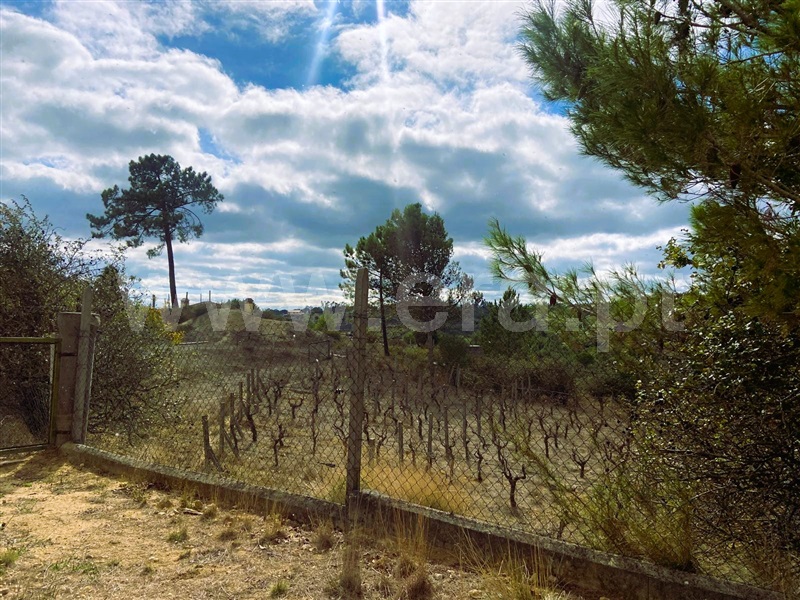 Terreno  Tomar, Carregueiros - 1436224 - 4