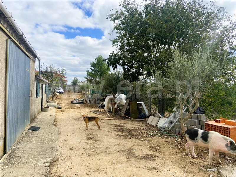 Terreno  Tomar, Carregueiros - 1436224 - 8