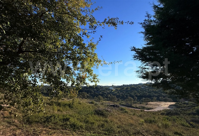 Terreno / Tomar, Carregueiros
