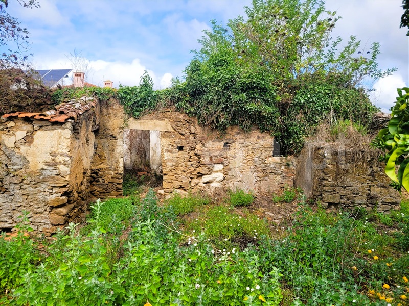 Terreno / Tomar, Casais e Alviobeira