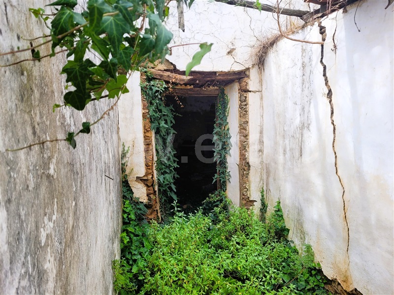 Terreno  Tomar, Casais e Alviobeira - 1342916 - 4