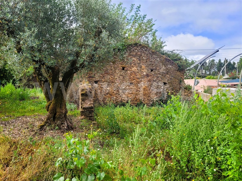 Terreno  Tomar, Casais e Alviobeira - 1342916 - 5