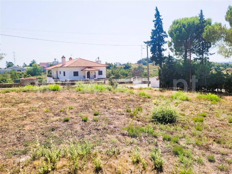 Terreno / Tomar, Casais e Alviobeira