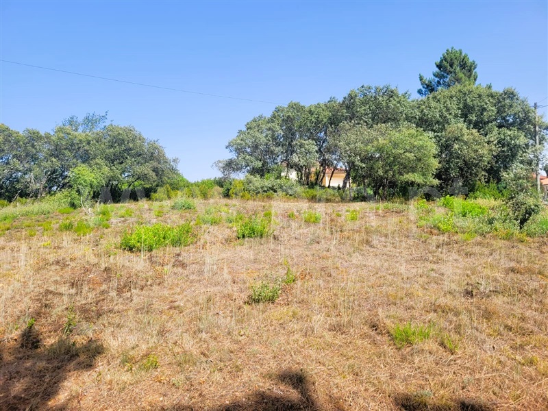 Terreno  Tomar, Casais e Alviobeira - 1343951 - 2