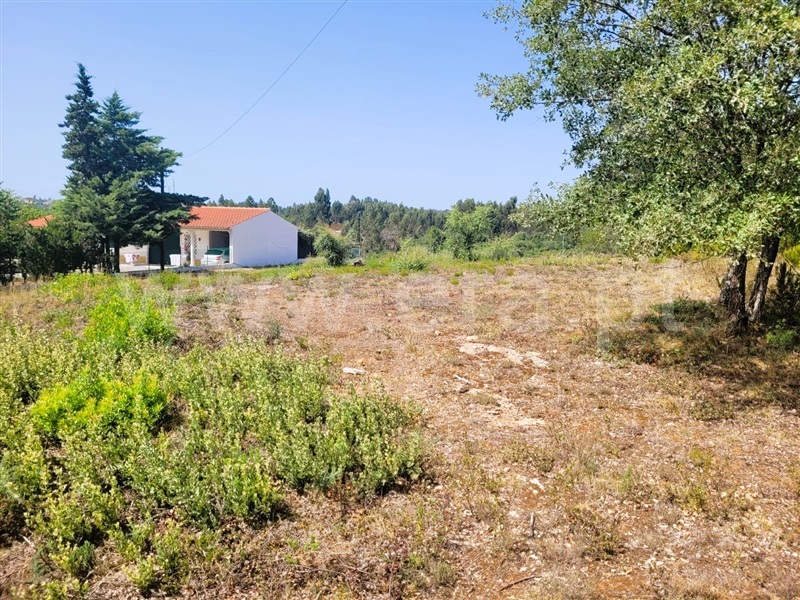 Terreno  Tomar, Casais e Alviobeira - 1343951 - 4
