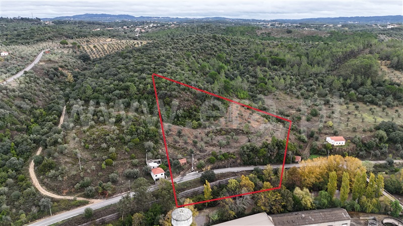 Terreno / Tomar, Casais e Alviobeira