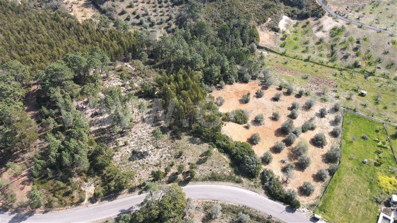 Terreno / Tomar, Madalena e Beselga