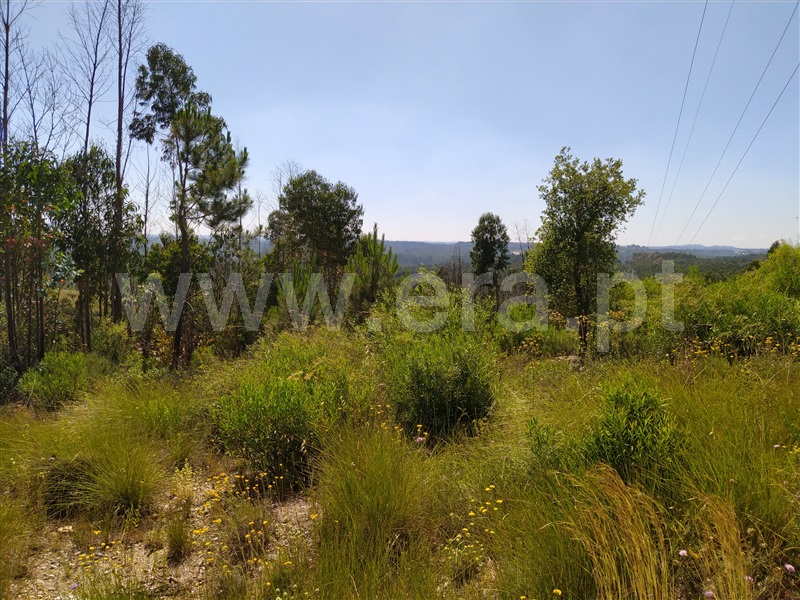 Terreno  Tomar, Sabacheira - 1094338 - 2