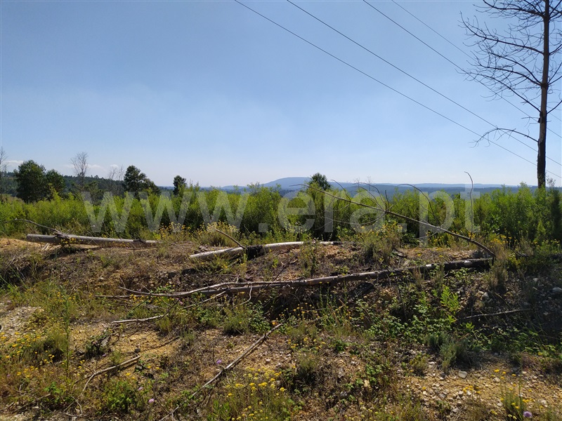 Terreno  Tomar, Sabacheira - 1094338 - 5